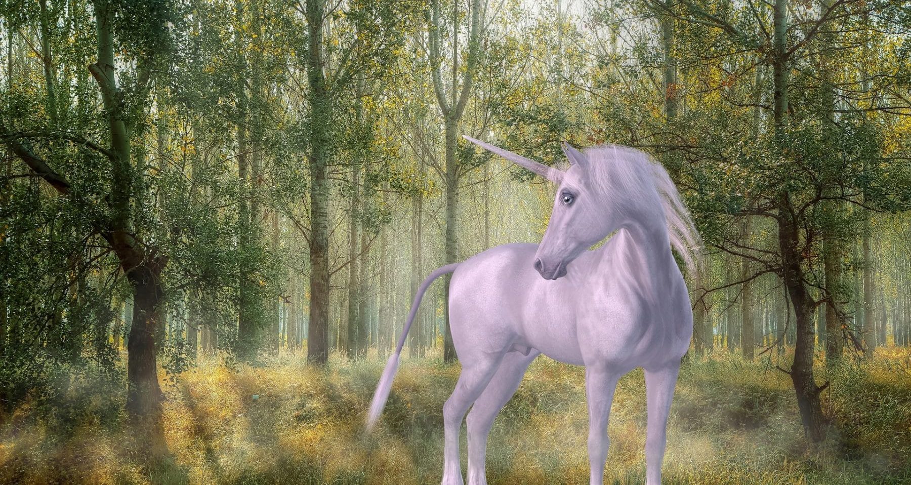 weißes Pferd mit Einhorn in einem Märchenwald