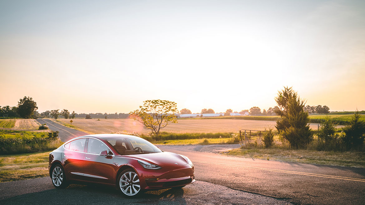 Tesla Model S Kofferraum Hund hagellacarter